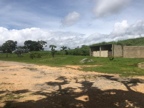 Imagen 4 de 17 de Vendo Granja Avicola Bejuma ( Ricardo Perera)