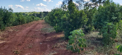 Imagen 5 de 17 de Se Vende Chacra 9 Ha - Corpus