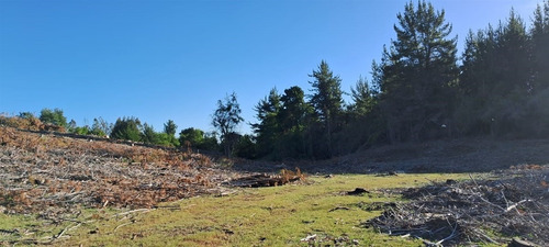 Terreno Construccion En Venta En San Carlos