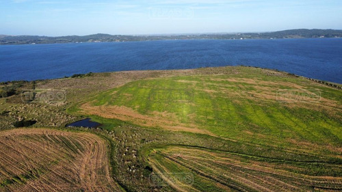 Imagen 2 de 5 de Chacra Lote Chacras De La Laguna Terreno Campo En Venta Ubicado En Laguna Del Sauce, Punta Del Este, Punta Del Este / Maldonado
