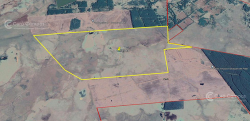 Se Vende Campo Ganadero De 505 Ha En Virasoro, Corrientes