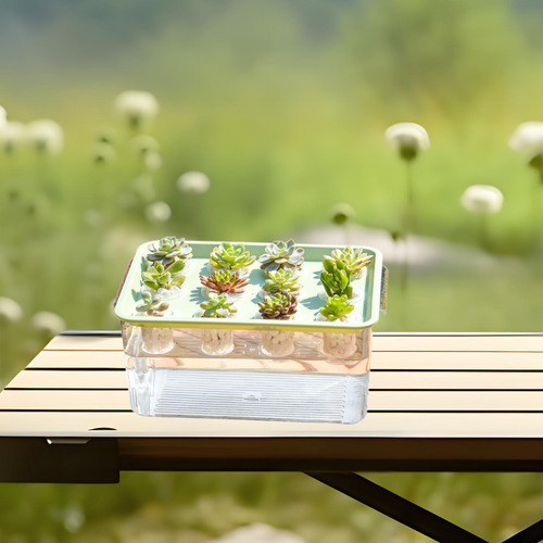 Caja De Hidropónico, Herramienta Hidropónica, 12 Verde