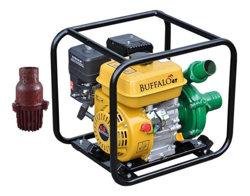 Imagem 1 de 5 de Bomba Irrigação C/ Motor 7,0 Cv Gasolina Buffalo