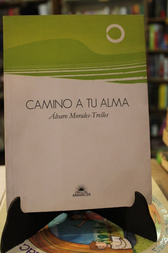 Camino A Tu Alma - Álvaro Morales-trelles