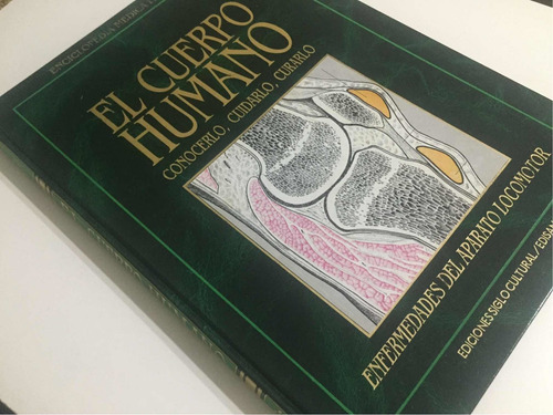 Enfermedades Del Aparato Locomotor. Tomo 8. (Usado)