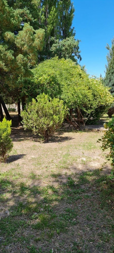 Imagen 11 de 19 de Venta Hermosa Finca Con Vivienda