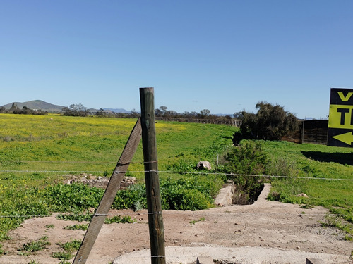 Terreno De 5000m2 A 15 Mntos De Ovalle