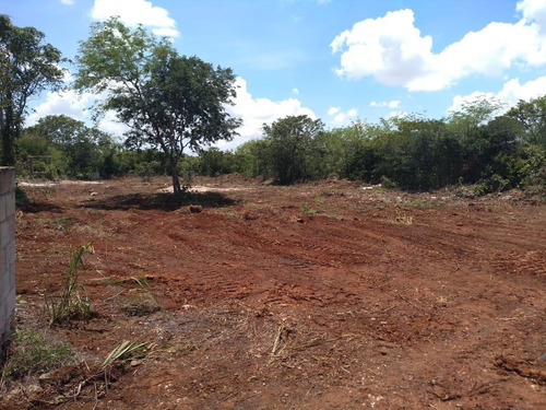 Imagen 15 de 18 de Terreno - Pueblo Cholul
