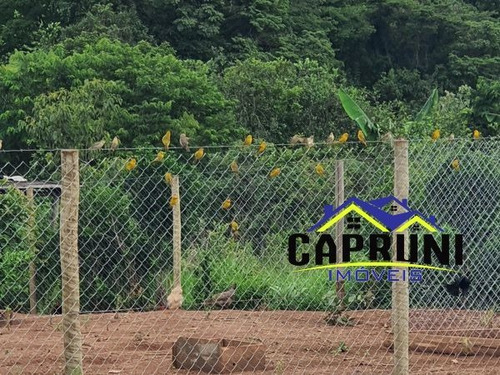 Imagem 12 de 15 de Chácara Em Zona Rural, Passa Tempo/mg De 5200m² 2 Quartos À Venda Por R$ 250.000,00 - Ch2330827-s