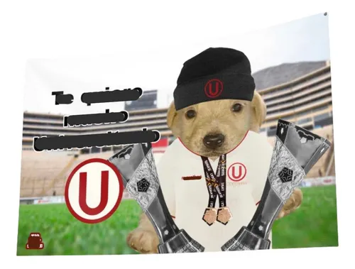 comprar Bandera Te Quiero Mucho Universitario