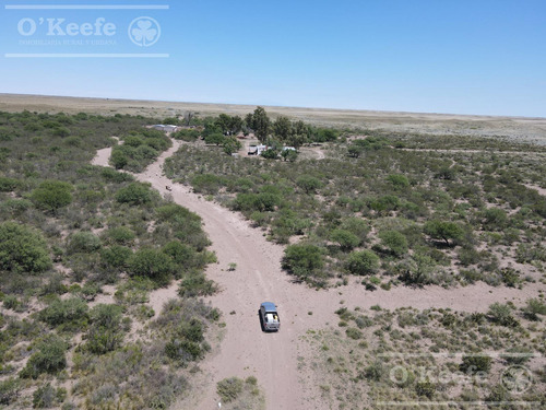 Campo En Venta De 28.000 Has En Gral Alvear, Mendoza. Armado De Cría/recría