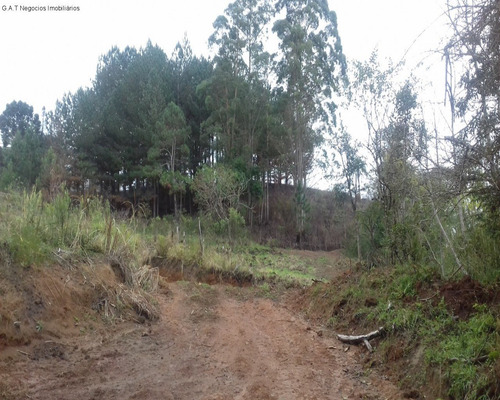 Imagem 6 de 18 de Sitio À Venda No Monjolada - Guiapiara/sp - St00246 - 68125721