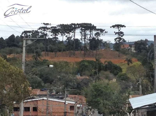 Imagem 3 de 6 de Terreno Para Venda, 2742.65 M2, Jardim Nossa Senhora Das Graças - Cotia - 23616