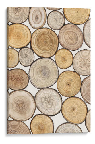 Canvas Lab Cuadro Estudio De Anillo De Árbol I 90x135