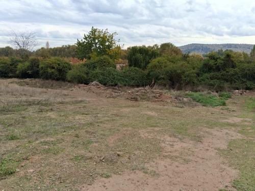 Oferta Parcela 5.000 Mt2, Talca (pencahue) Agua Y Luz