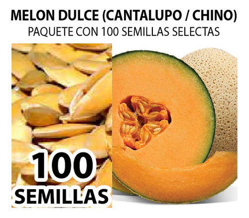 100 Semillas De Melon Dulce Cantalupo / Chino + Instructivo