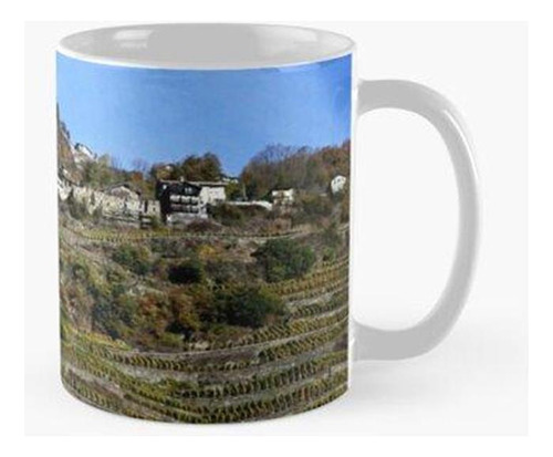 Taza Viñedos En Terrazas En Valtellina Calidad Premium