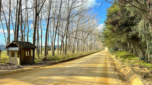 Parcelas En Vichuquén Al Lado De Laguna Torca Y Playa Llico