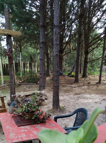 Punta Del Diablo Cabaña Hermosa En Zona Bosque Hasta Tres Personas , Verano 2024