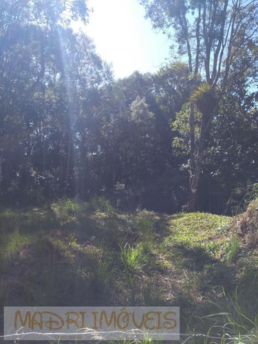 Imagem 7 de 15 de Terreno Para Venda Em Curitiba, Barreirinha - 270_2-1042240