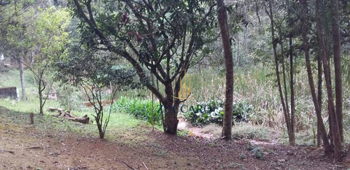 Chácara À Venda, 6000 M² Por R$ 250.000,00 - Tanque Grande - Guarulhos/sp - Ch0095