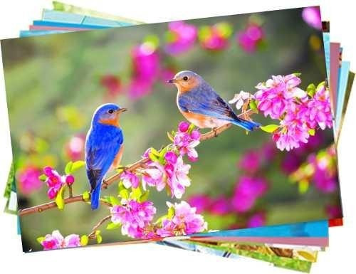 100 Papel Fotográfico Adesivo 135g A4 À Prova D´água X-ink