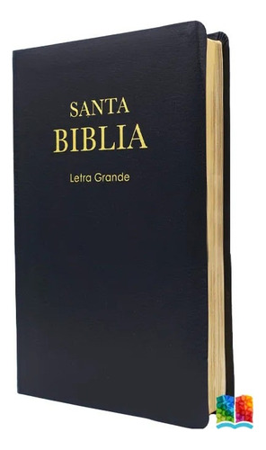 Biblia Rvr1960 Letra Grande Alta Calidad