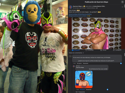 Máscara Profesional Firmada Guerrero Maya Jr Cmll Luchalibre (Usado)