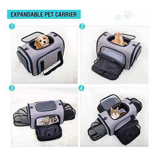 Siivton Cat Carrier Pet Carrier Pet Extensible Aprobado Por