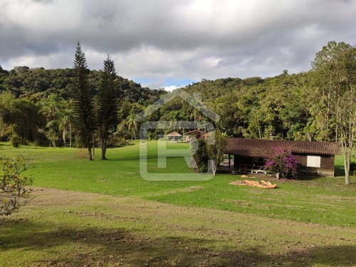 Imagem 11 de 30 de Excelente Sitio Com Topografia Plana, Rico Em Aguá - 12 - 69839868