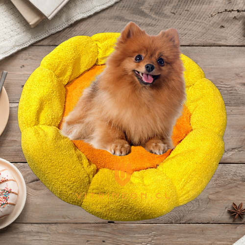 Cama Elevada Para Perro Gatos Camas De Perro Mascotas Xl