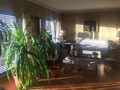 Imagen 7 de 23 de Departamento - Botanico