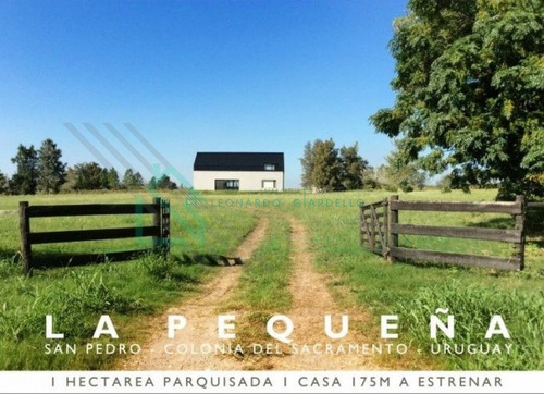 Imagen 5 de 5 de San Pedro, Colonia - Acogedora Y Funcional Chacra En Colonia