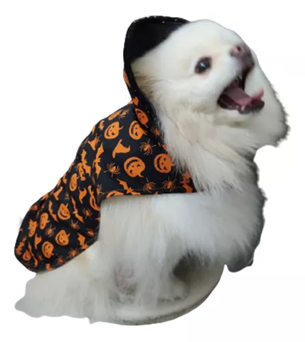 animais kawaii vestidos com fantasias de halloween. personagens de