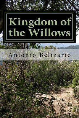 Libro Kingdom Of The Willows: Blessings Of The Mother - B...