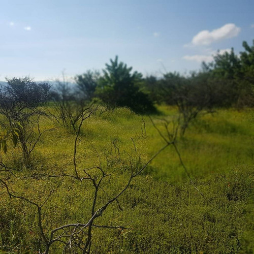 Terreno En Venta En Ojo Seco, Junto A Campus Industrial Celaya, Celaya, Guanajuato