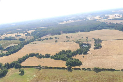 Imagen 11 de 15 de Agrícola En Venta En Ercilla