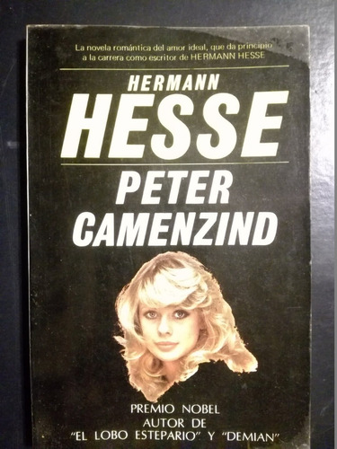 Peter Camenzind  -  Hesse, Hermann 