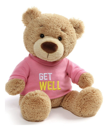 Gund Get Well Camiseta Teddy Bear Animal De Peluche Plush Pi