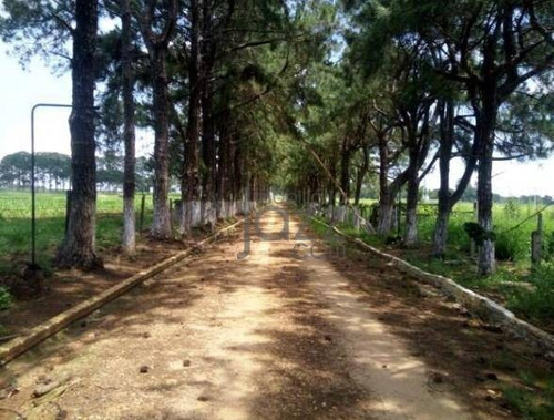 Sitio Antigo Haras - Ch0051