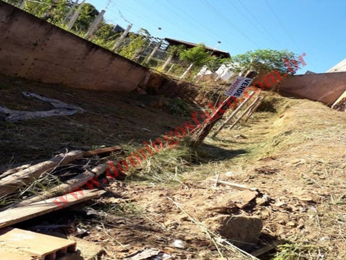 Imagem 10 de 21 de Venda - Terreno - Jardim Paulistano - Americana - Sp - D2766