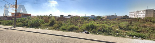 Imagem 3 de 8 de Área Em Jundiapeba - Mogi Das Cruzes, Sp - 2834