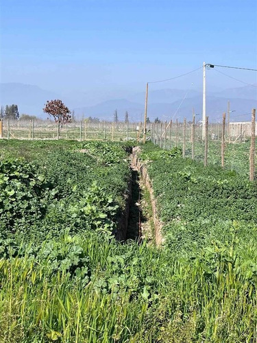 Imagen 3 de 23 de Sitio En Venta En Isla De Maipo
