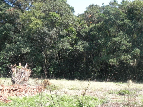 (sc) Lotes A Partir De 500m², Veja Condições De Financiament