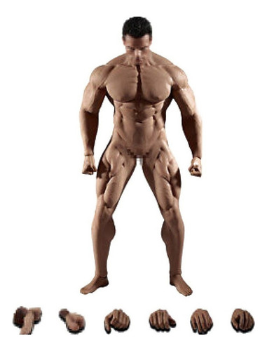 Jj Modelo De Cuerpo Musculoso Tbleague Phicen De Hombre 1/6