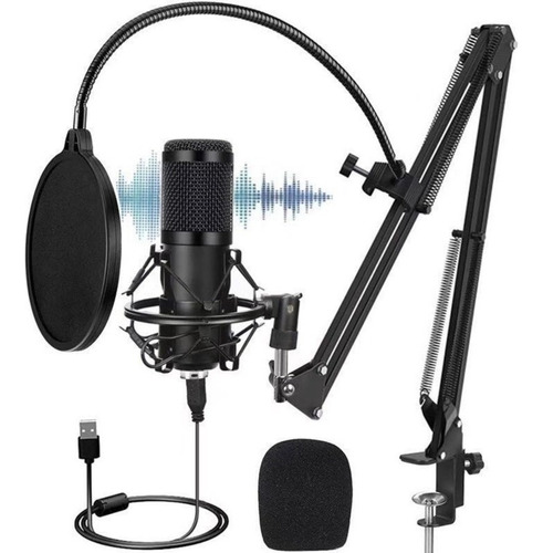 Kit Micrófono Estudio Condensador Profesional Bm800+brazo