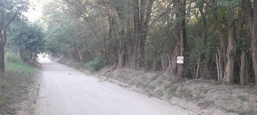 Imagen 4 de 7 de Terreno - Las Calles