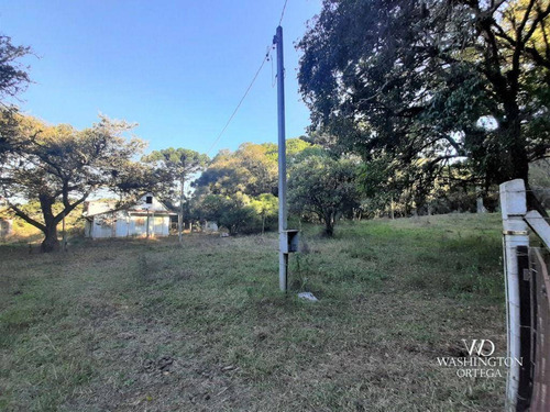 Imagem 15 de 16 de Chácara À Venda, 31000 M² Por R$ 600.000,00 - Cachoeira - São José Dos Pinhais/pr - Ch0066