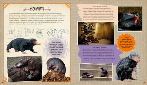 Imagen 7 de 7 de Wizarding World: Cine Mágico 2. Criaturas Curiosas