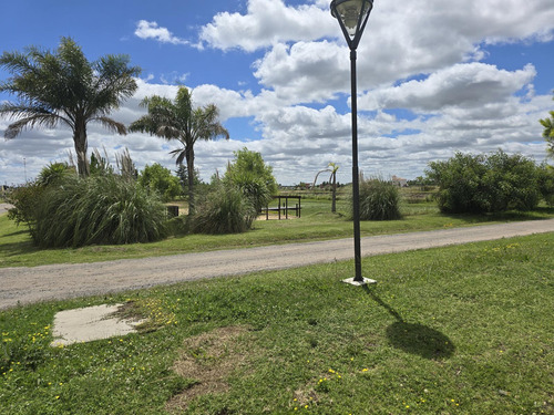 Venta Terreno En Campos De La Enriqueta